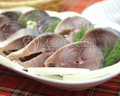 Малосольная скумбрия в домашних условиях
